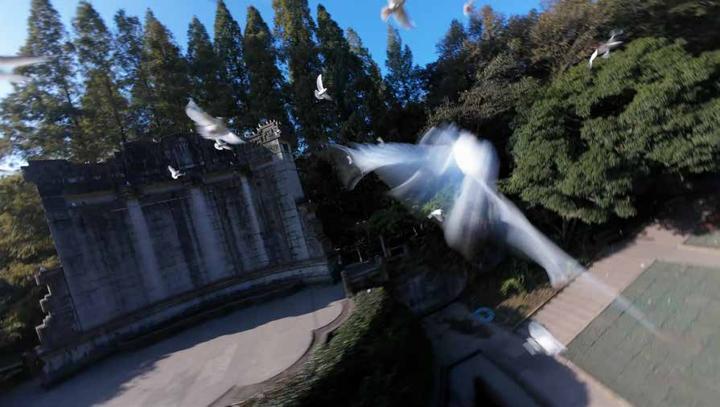 CCTV 央视 画面 10