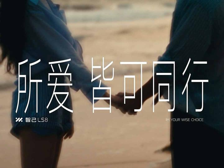 IM 智己 LS8 · 所爱皆可同行 画面 12